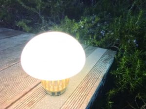 マッシュポッド